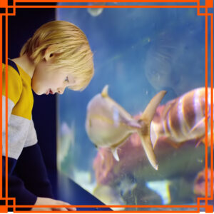 Aquariums are a unique party venue for your kid's next birthday party. 