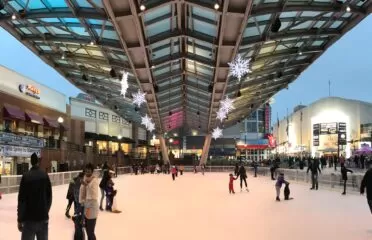 Silver Spring Outdoor Ice Skating Rink